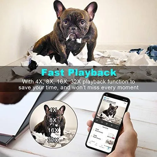 VIDEN WiFi IP Camera 1080P, Security Camera Pet/Dog/Elder/Baby Camera Monitor, with Night Vision/Motion Detection/Two-Way Audio, Works with Android/iOS[New 2019]